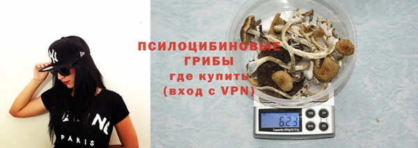 apvp Заводоуковск