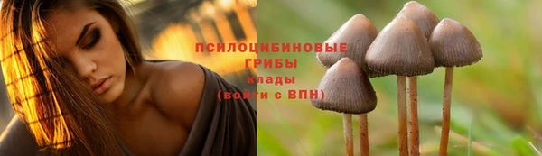 2c-b Заволжье