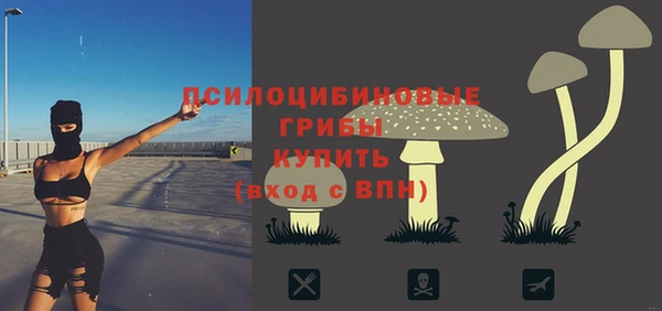2c-b Заволжье