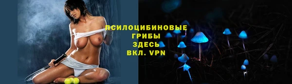 apvp Заводоуковск
