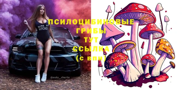 apvp Заводоуковск
