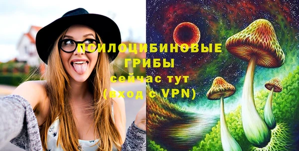 apvp Заводоуковск