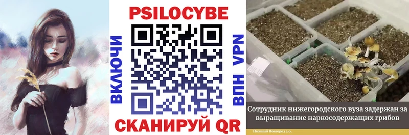 Галлюциногенные грибы мухоморы закладки Теберда